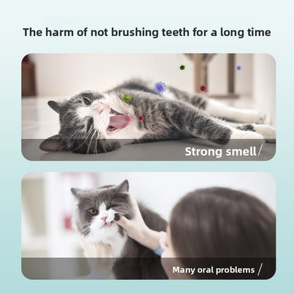 Disposable Pet Dental Cleaning Finger Wipes
